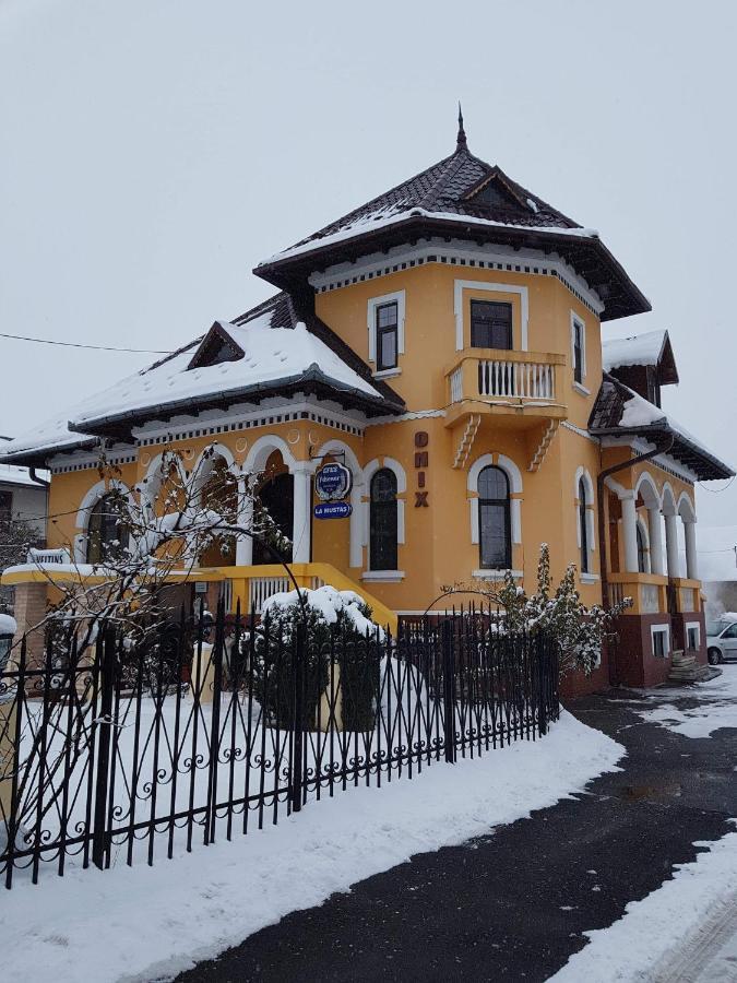 Pensiunea Onix Fagaras Exterior photo
